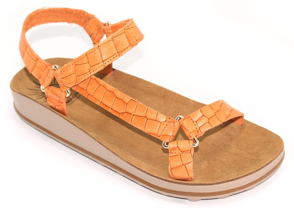 PA-BELINDA-24 C-ARANCIO