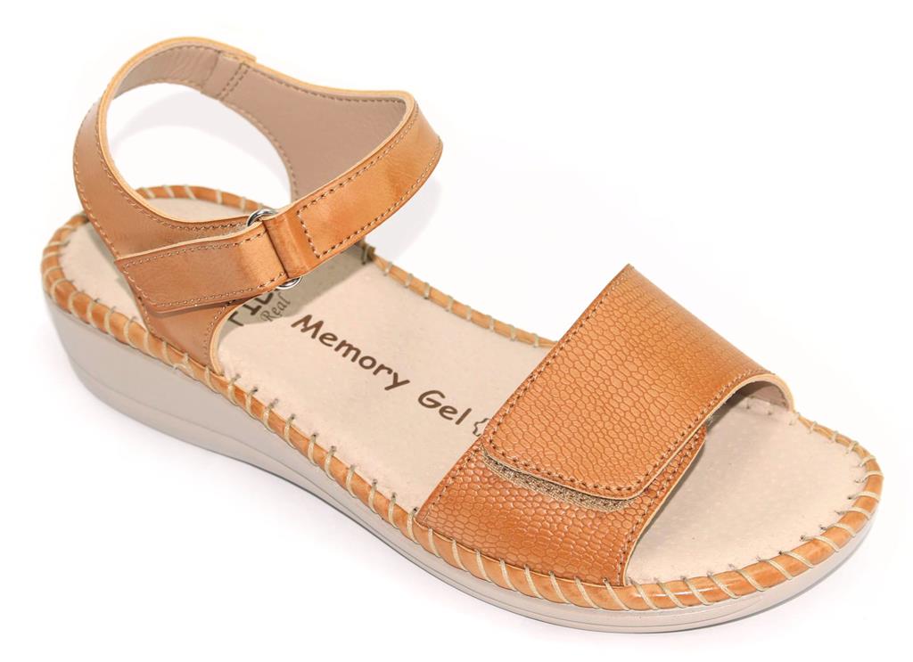 PA-IRIS-2102 S-CAMEL