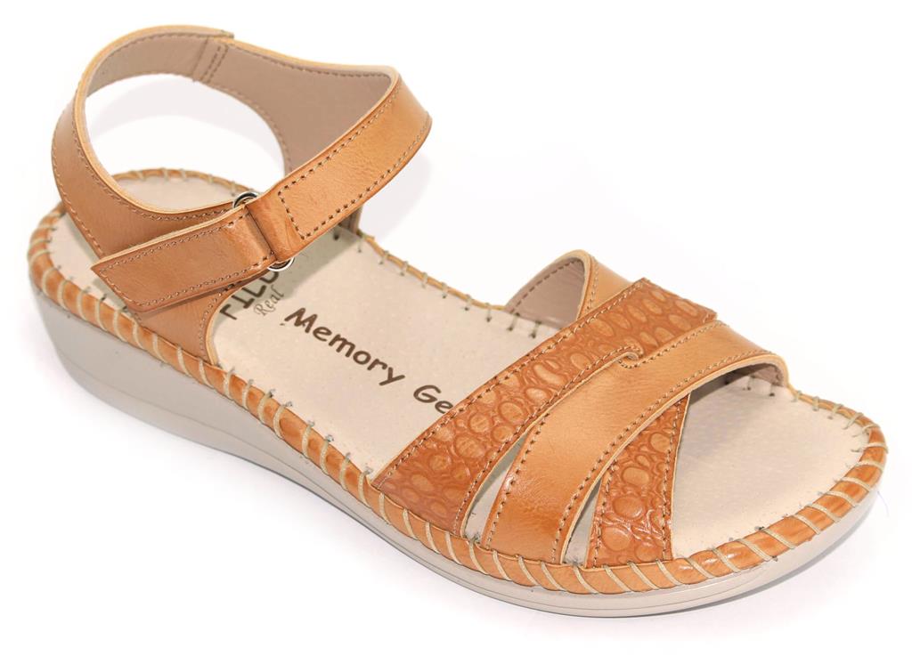 PA-IRIS-2103 S-CAMEL