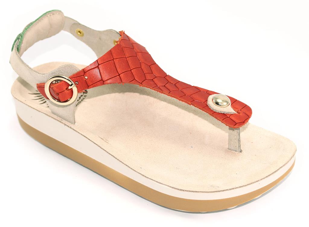 PA-LISA-27 C-ROSSO-VERDE