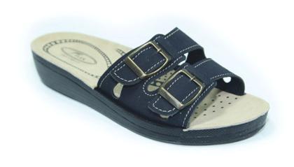 PA-LORY-002 N-DARKBLUE