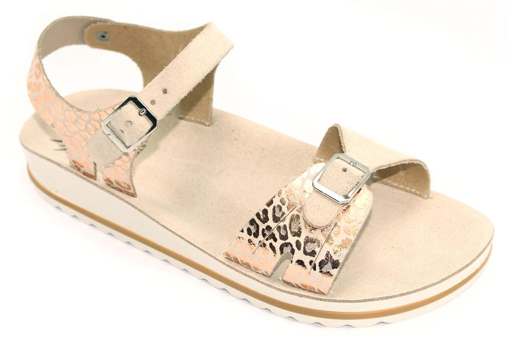 PA-MARIA-001 P-CARNE-A-RAME